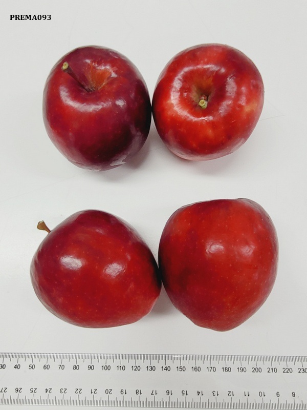 PremA093